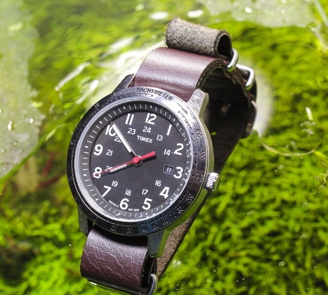 Timex on a $15 leather NATO strap from #cheapestnatostraps.com #timex #leathernatostrap #natostrap #natoband