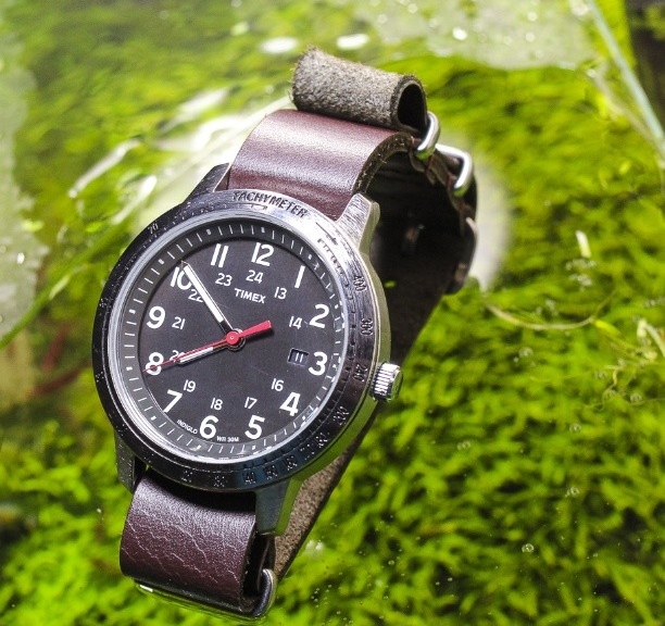 Timex on a $15 leather NATO strap from #cheapestnatostraps.com #timex #leathernatostrap #natostrap #natoband